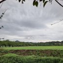 안산화랑오토캠핑장 이미지