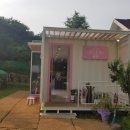 댕댕그라운드 네이버블로그