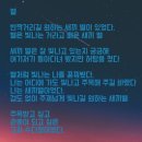 용인대 은성 태권도 이미지