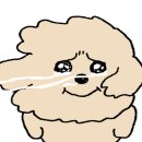 부산동명대DT 맥도날드 이미지