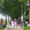 피어나공주