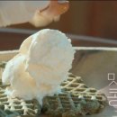 젤라또로플 이미지