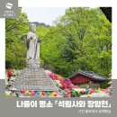 그늘막122 | 5월 나들이 명소 「석림사와 장암천」