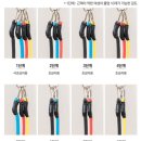바디하우스 | 바풀 슈로스바 바디하우스 턱걸이 보조밴드 내돈내산후기