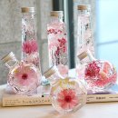 봄뜰에농장 | [청주 윤하의 뜰 체험치유농장] 회사 문화의 날 하바리움 만들기 체험 후기