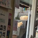안강 까치식당, 로컬맛집 방문후기, 골목안으로 따라들어가면 나오는 오래된주택인데! 보글보글 깊은맛...