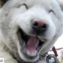 신서-3 이미지