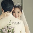 비쥬바이진스&공드리