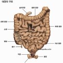 대변으로 건강을 안다 이미지