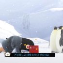 자이언트광고기획