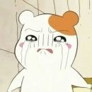 조*용 이미지