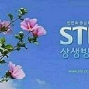 STB 상생방송 증산도 도전 문화콘서트 이미지