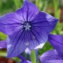 운중체육공원1 이미지