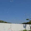 스테이수채화 이미지