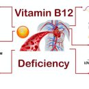 B12 이미지