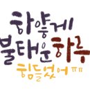 터미널라이닝 이미지