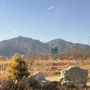 웰빙건강먹거리 | 속초 빵집 맛집 강원도 먹거리 기념품 속초불탄감자빵 후기