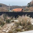 사색사계 이미지