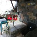 탑골약수터 이미지