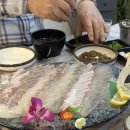 [남악&amp;오룡 맛집] 더드림회수산 내돈내산 | 도다리 대 솔직후기 &amp; 예약필수