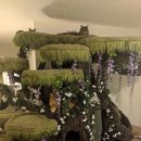 포레스트캣 이미지