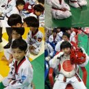 청용태권도장 이미지