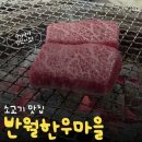 반월로1R | 안산 반월 한우 맛집! 반월한우마을 살치살, 등심 내돈내산 후기