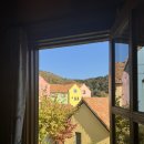 화담스테이 | 가을 제대로 즐기기! | 11월 초 화담숲후기 , 비바코한옥스테이 그리고 쁘띠프랑스