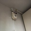 우일가스 이미지