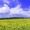 황산농장 이미지