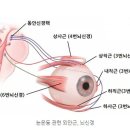 한국안경원 이미지