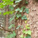 삼합낚시터 이미지