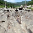 순창장군목다슬기탕 이미지