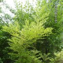 도수농장 이미지