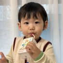 유아음료 어린이우유 어린이영양제 간식으로 좋은 피엘헬스 마이키즈 바닐라맛