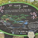 비채길 이미지