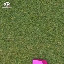 코리아 PC클럽 | 일본 후쿠오카 골프여행 Day2⛳ 국제컨트리클럽 라운딩 (내돈내산 맛집 리뷰 브이로그)