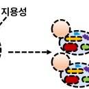 드림광고 이미지