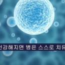 아마레 이미지