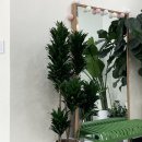 도제원초등학교 | [공지] 카페 5203 경기 남양주 카페 퇴계원역 도제원 초등학교 근처 방문 후기