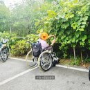 수원-0607 이미지