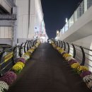 부산대역 3번출구 앞 | 박찬욱 로드 <2> 부산대역 앞, 주례여고 앞 골목 등