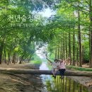 경주 한옥 별하 | [공지] 7월 경주 가볼만한 곳, 천년숲정원 외나무다리에서 만나는 여름 숲길 여행
