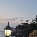 현내리 도원정사 이미지