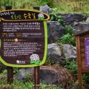 브이랜드 이미지