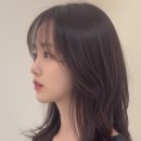 베체헤어