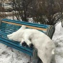 자담 한의원 이미지