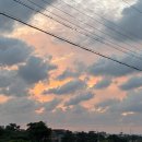 애월화룸 이미지