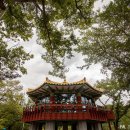 출렁다리 진입로 이미지