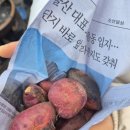 24시김밥마을 | 전주 볼거리와 먹거리가 많은 2박3일 여행일정 공유 25.12.31 - 26.1.2